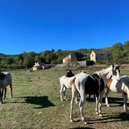 Les Distinguees -aux Bories De Previnquieres Holiday home *