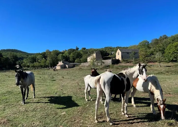 Les Distinguées -aux Bories De Prévinquières Hébergement de vacances *